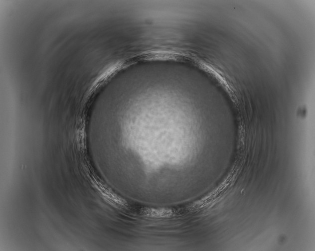 X0000100851403200806271125