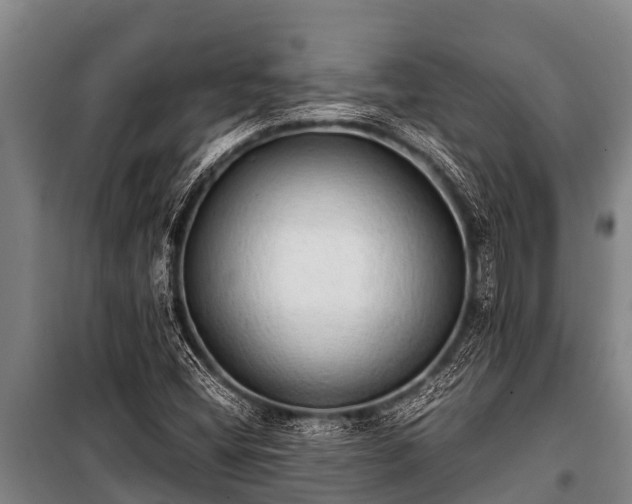 X0000100851404200806271125