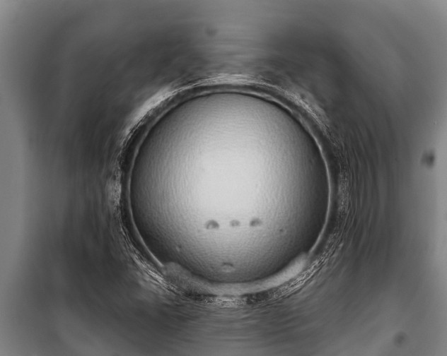X0000100851406200806271125