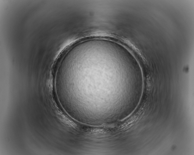 X0000100851408200806271125