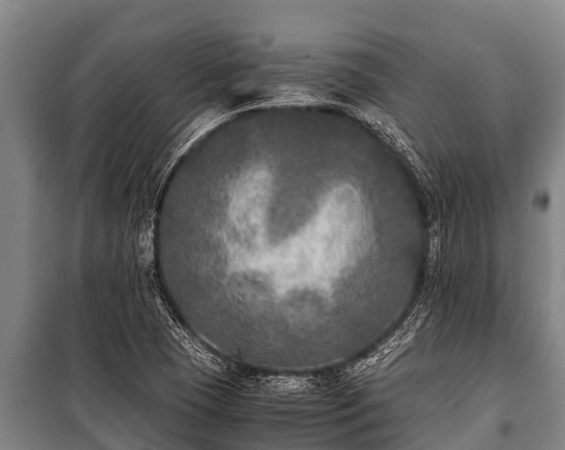 X0000100851409200806271125