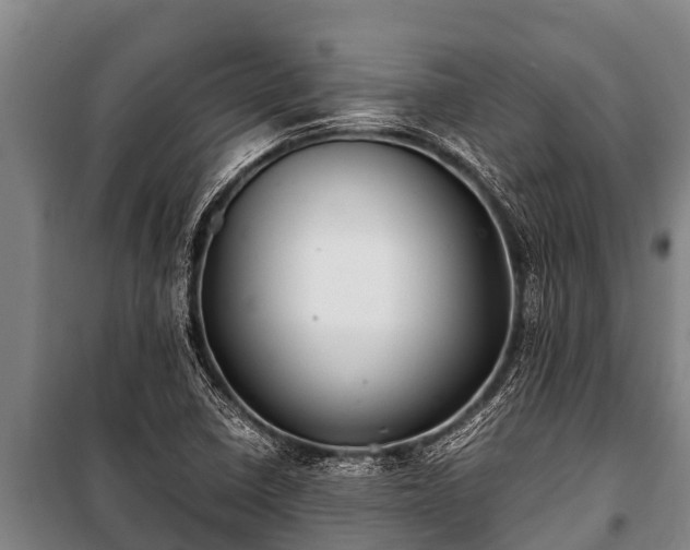 X0000100851410200806271125