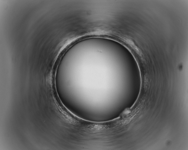 X0000100851412200806271125