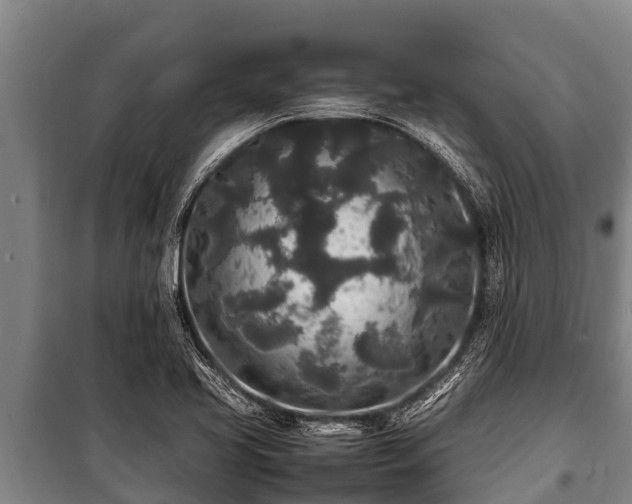X0000100851413200806271125