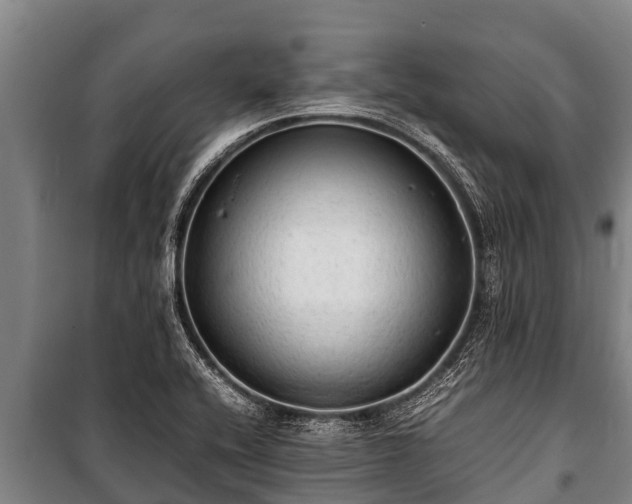 X0000100851416200806271125