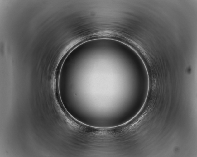 X0000100851418200806271125