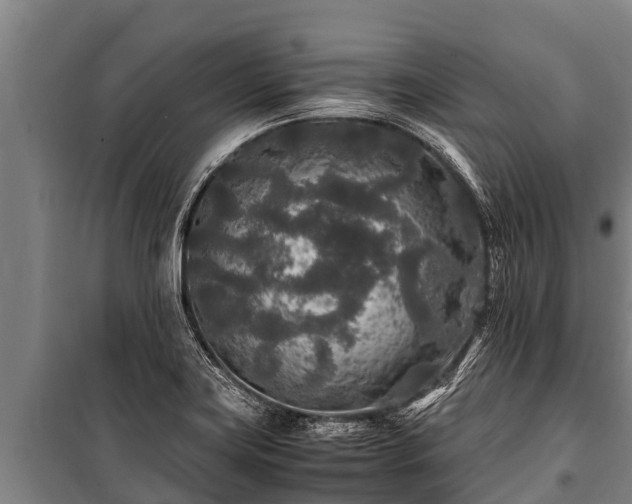 X0000100851419200806271125