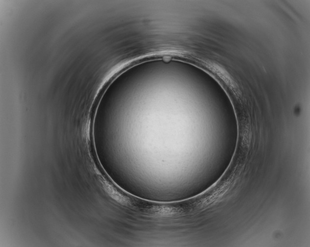 X0000100851420200806271125