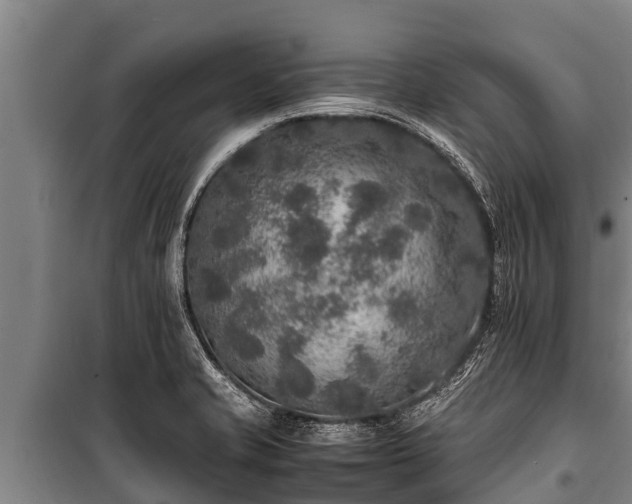 X0000100851421200806271125