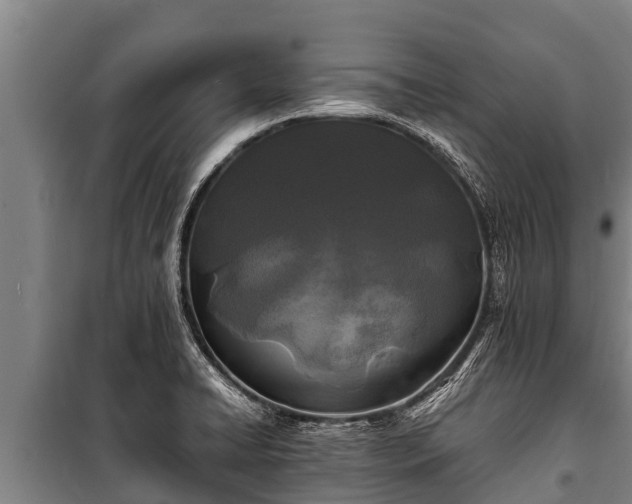 X0000100851422200806271125