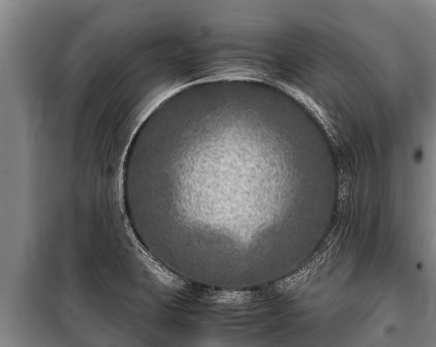 X0000100851423200806271125