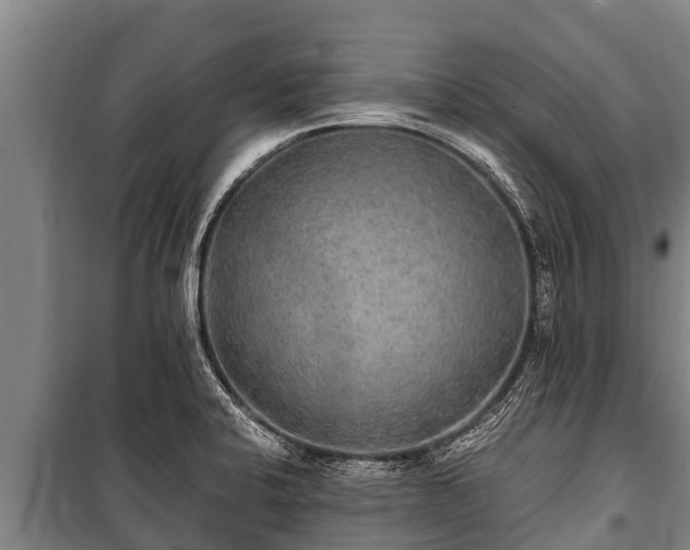 X0000100851424200806271125
