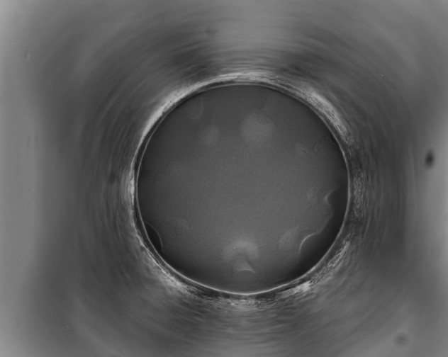X0000100851428200806271125