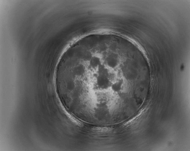 X0000100851429200806271125