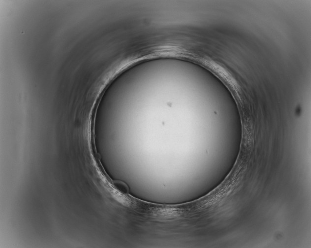 X0000100851431200806271125