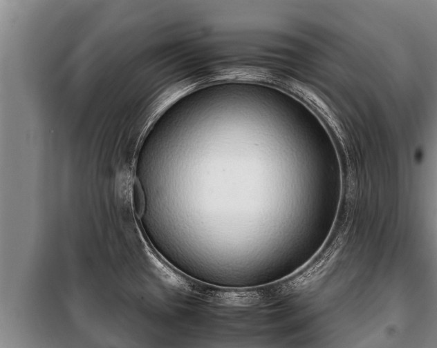 X0000100851433200806271125