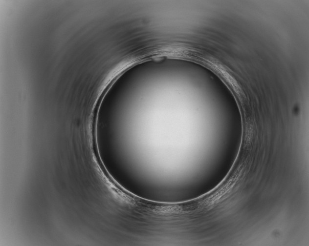 X0000100851434200806271125