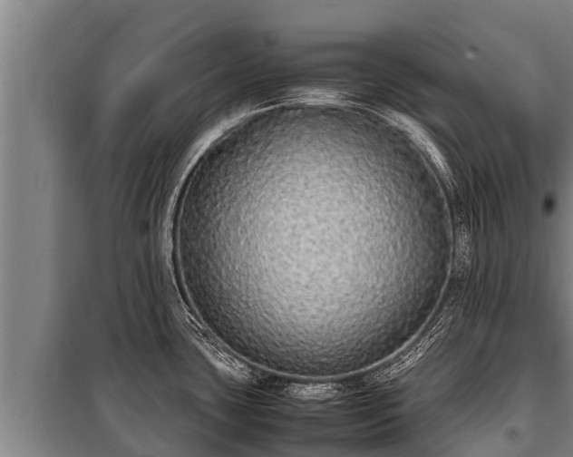 X0000100851435200806271125