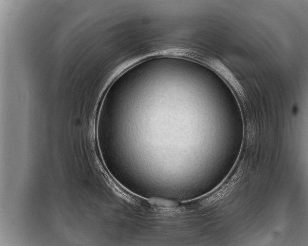 X0000100851436200806271125