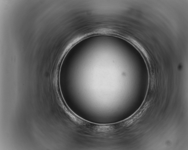 X0000100851437200806271125