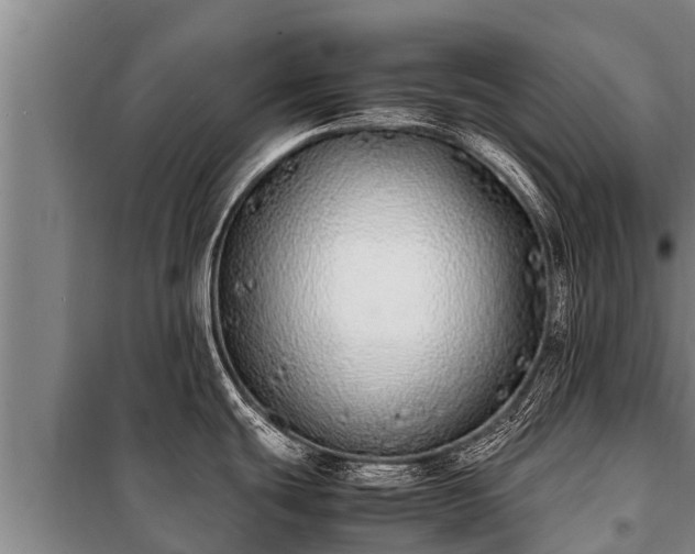 X0000100851439200806271126
