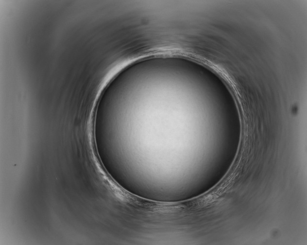 X0000100851440200806271126