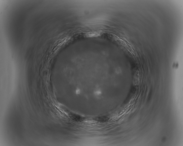X0000100851441200806271125