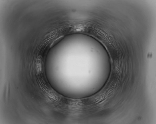 X0000100851442200806271125