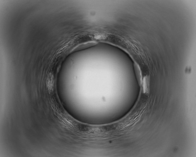 X0000100851443200806271125