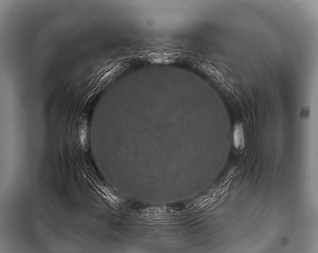 X0000100851444200806271125
