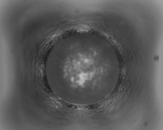 X0000100851445200806271125