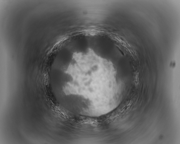 X0000100851446200806271125