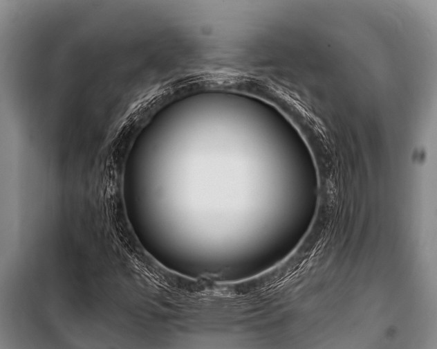 X0000100851447200806271125