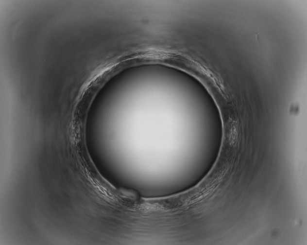 X0000100851448200806271125