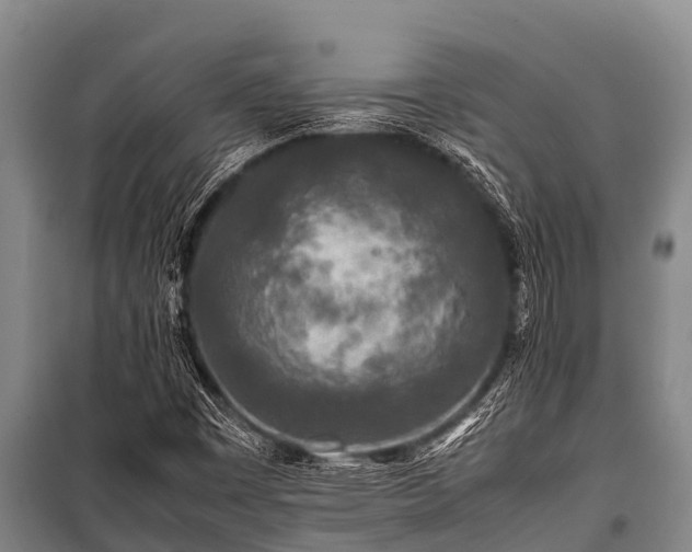 X0000100851449200806271125