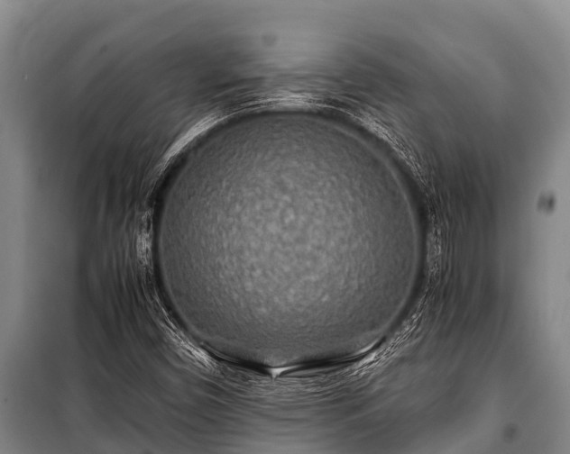 X0000100851450200806271125
