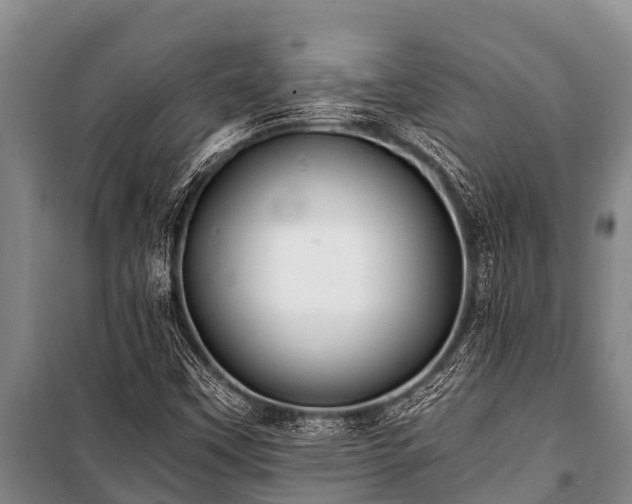 X0000100851451200806271125
