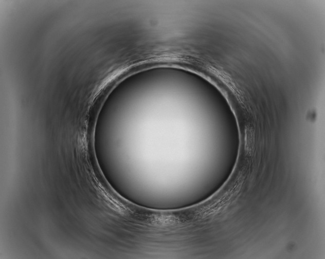 X0000100851452200806271125