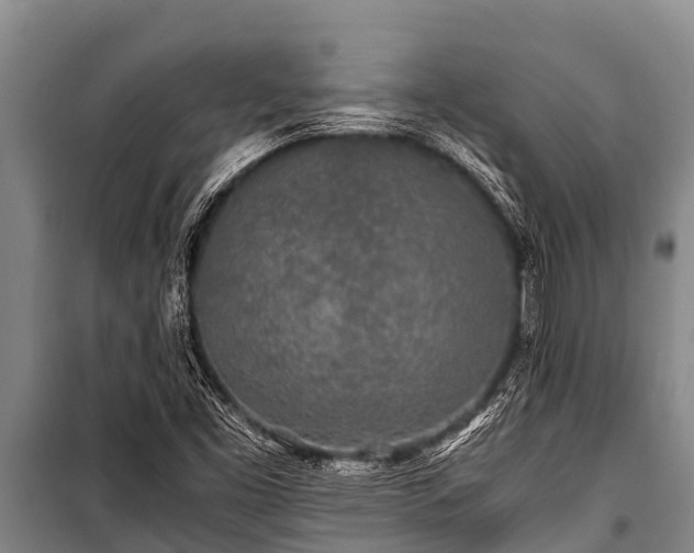 X0000100851453200806271125