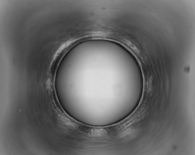 X0000100851454200806271125