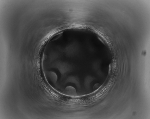 X0000100851455200806271125