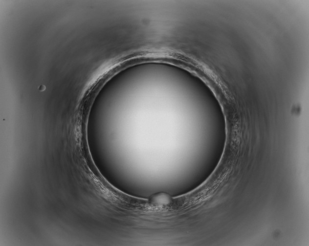 X0000100851456200806271125