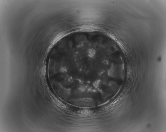 X0000100851459200806271125