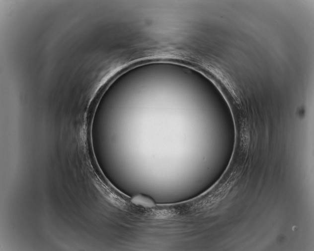 X0000100851460200806271125