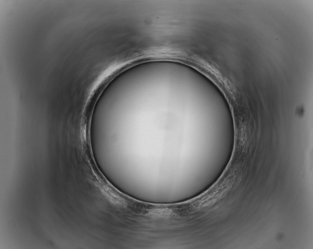 X0000100851462200806271125