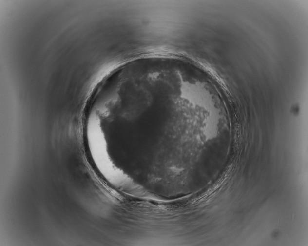 X0000100851463200806271125