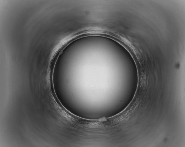 X0000100851464200806271125