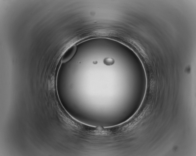 X0000100851465200806271124