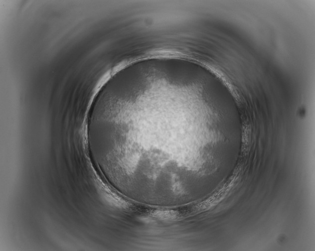 X0000100851466200806271124