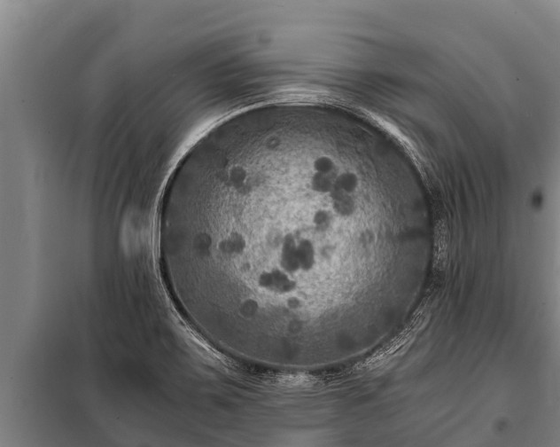 X0000100851467200806271124